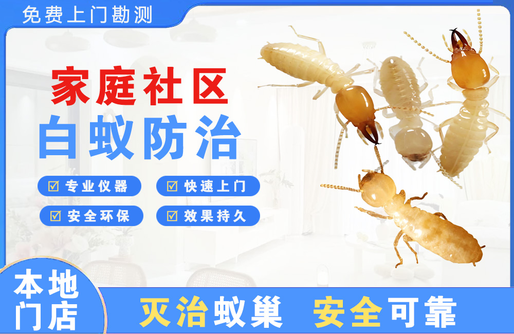 博白家庭社区白蚁防治