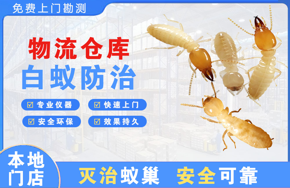 博白物流仓库白蚁防治