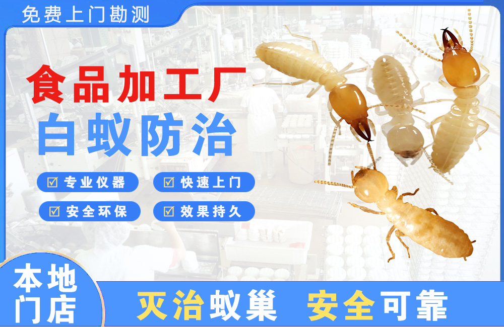 博白食品加工厂白蚁防治