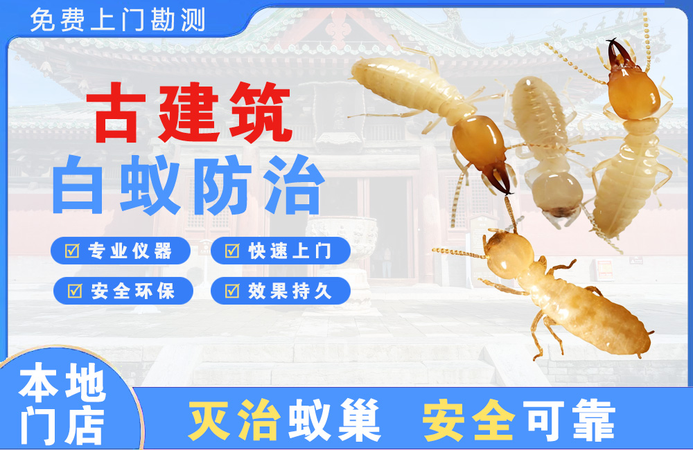 博白古建筑白蚁防治