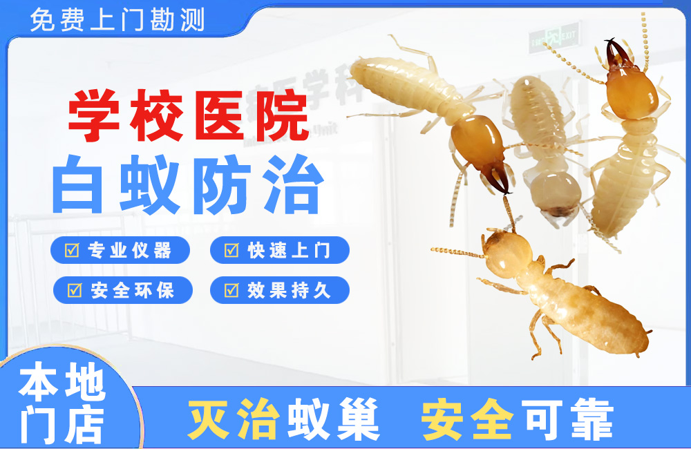 博白学校医院白蚁防治