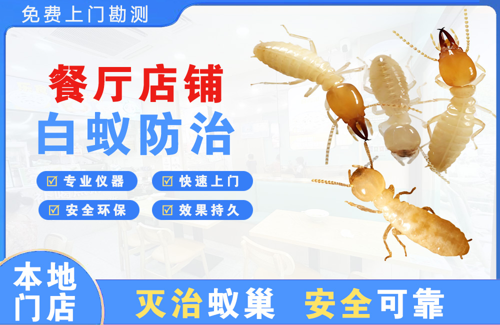 博白餐厅店铺白蚁防治